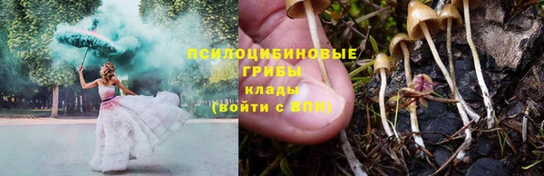 марихуана Белокуриха
